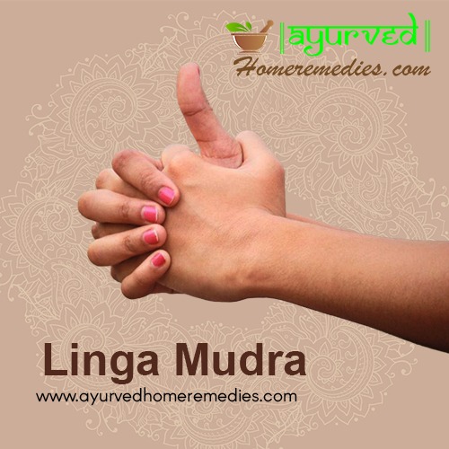 Linga Mudra Benefits | Steps to do Linga Mudra | Mudra of Heat & Energy