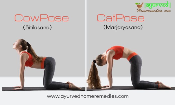 Cat & Cow Pose Benefits | Good Stretch For Spine And Back Pain Relief ...